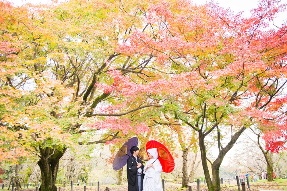 京都府立植物園での和装写真