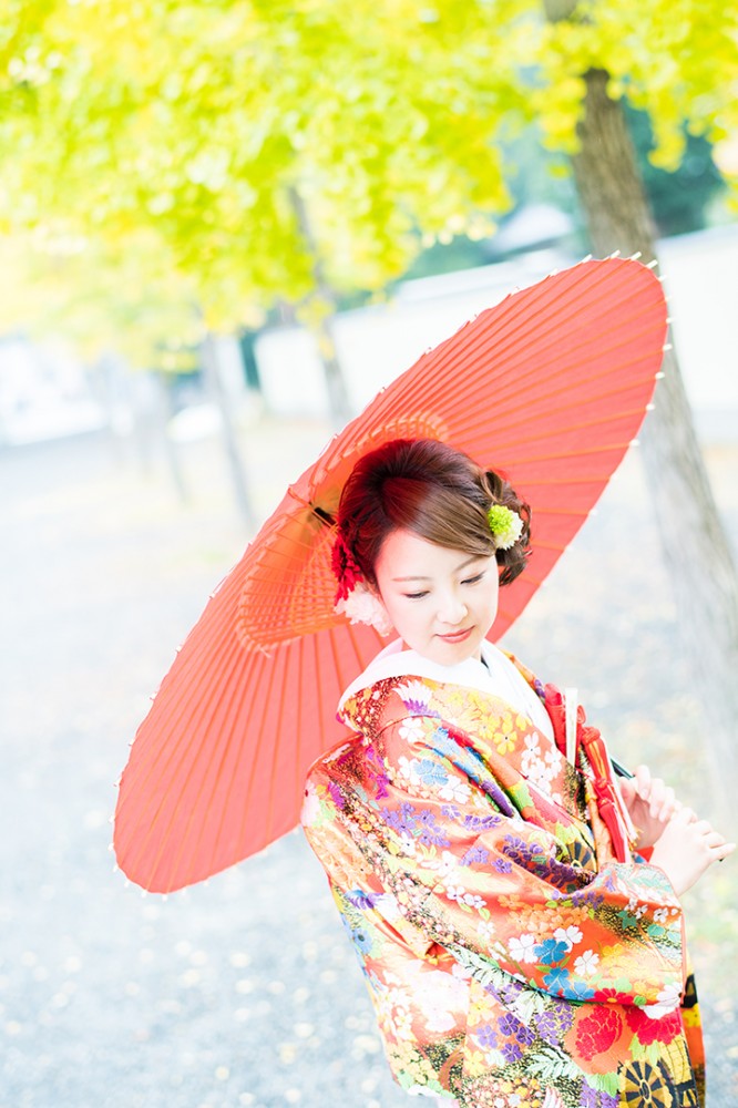 京都のイチョウ並木とのお写真
