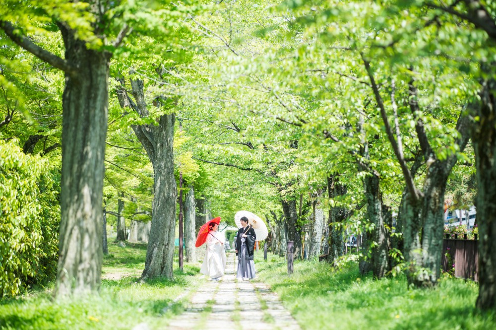 緑の回廊を白無垢姿で歩いています。