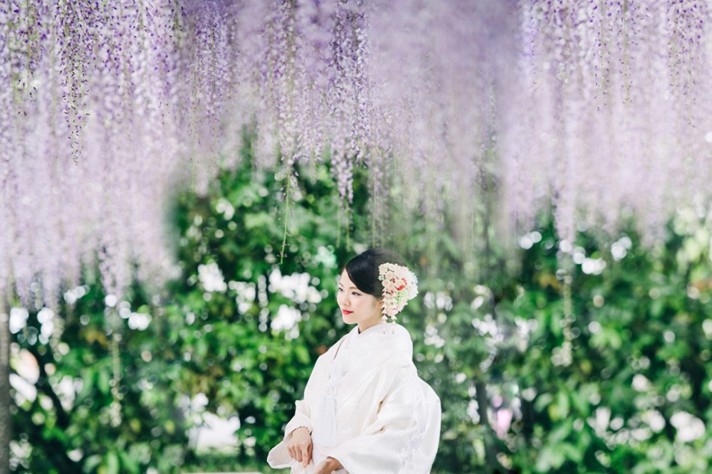 新緑と共に咲く藤の花