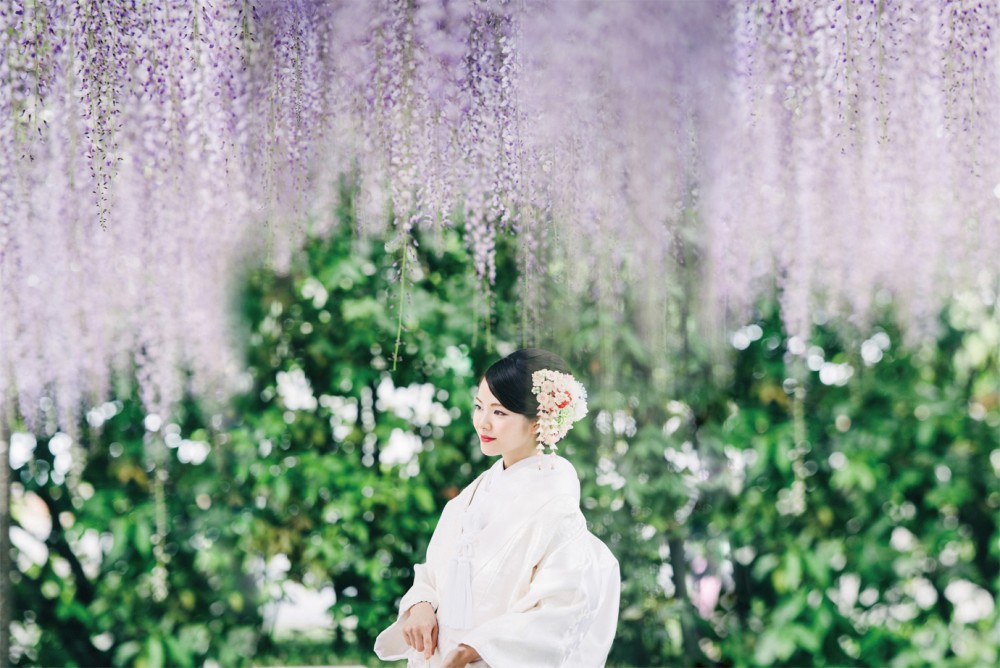 5月の写真