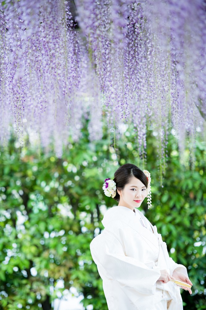 藤と花嫁