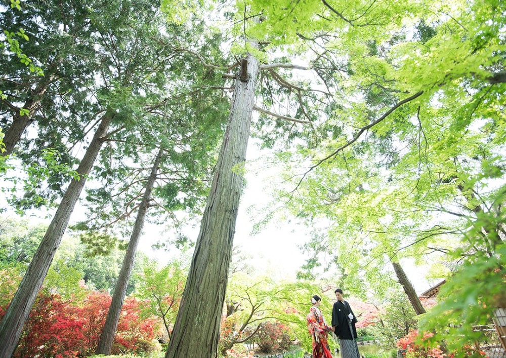 京都は右京区の神社での和装の撮影