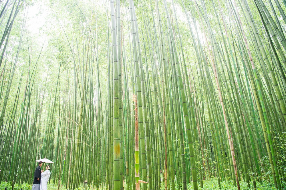 京都は嵐山でのロケーション撮影
