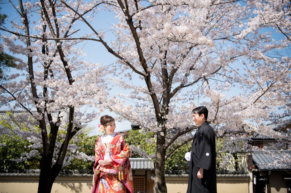 桜と花嫁花婿さん