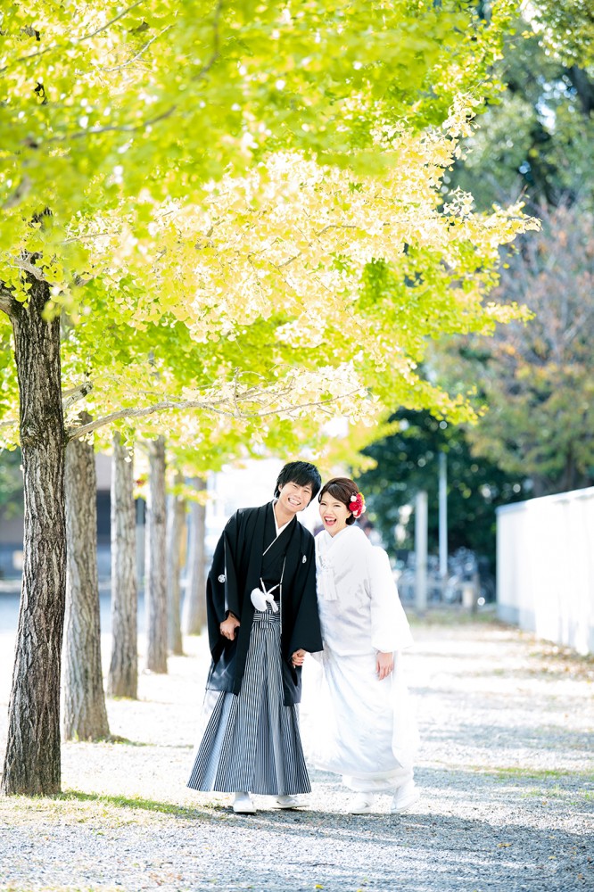色づき始めた銀杏の木と和装の新郎新婦