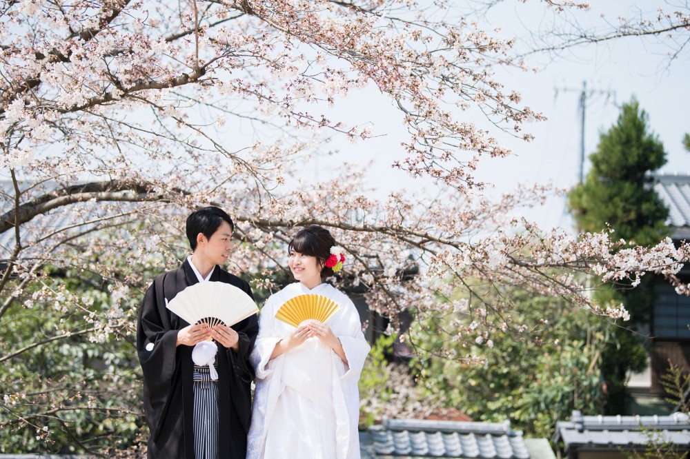 五分咲きのサクラと新郎新婦様