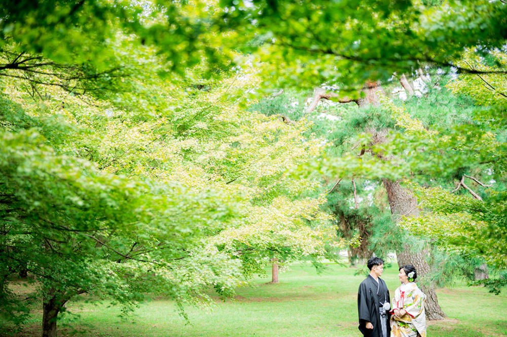 京都御所での緑とのお写真