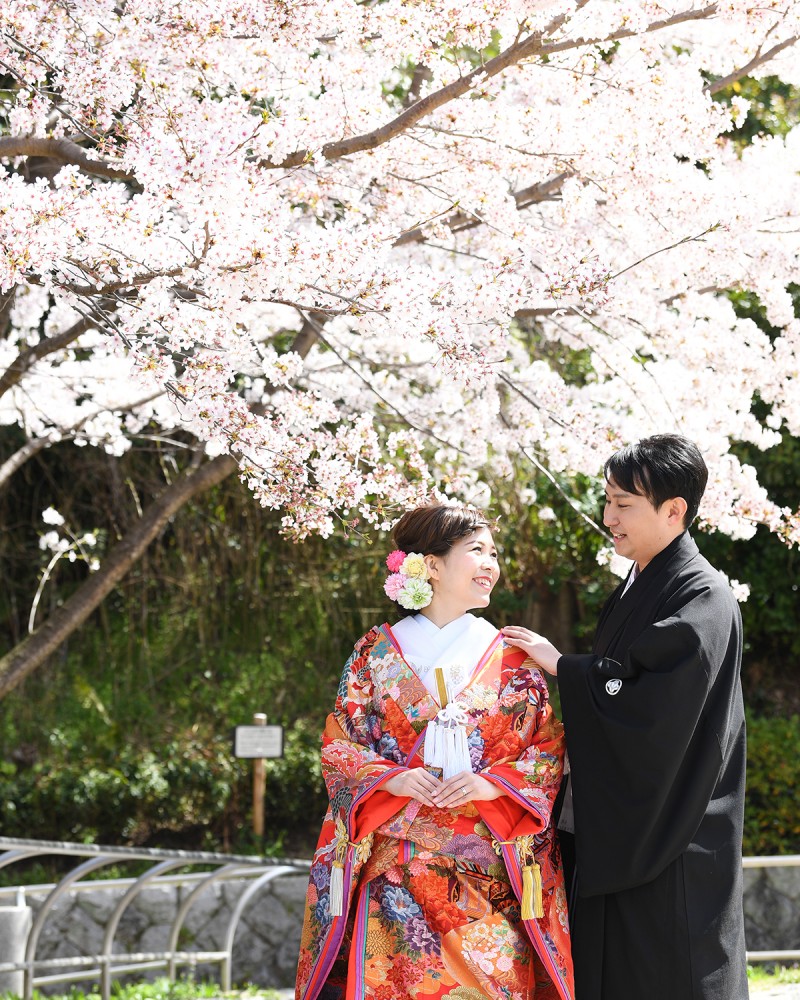 桜木の前での撮影。別角度にて。