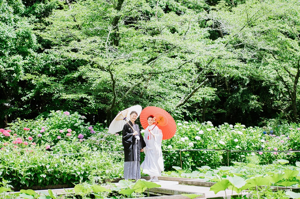 梅雨の時期には和装は紫陽花と